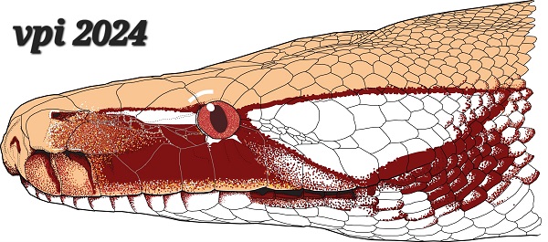 Albino_Blood_LatView_001-1.jpg