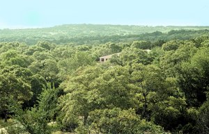 VPI: VPI, nestled in the Texas Hill Country